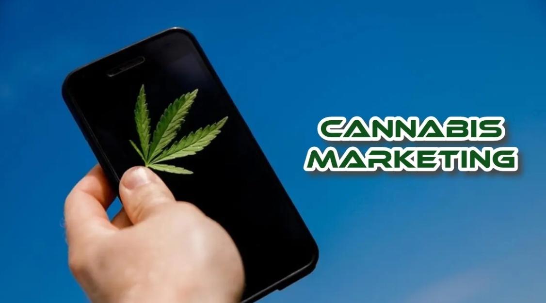cannabis marketing in Miami FL